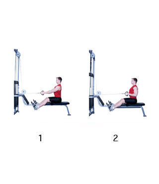 dwaas Sterkte Redding 2023 | Cable Seated Low Row • Fitness-oefeningen.com